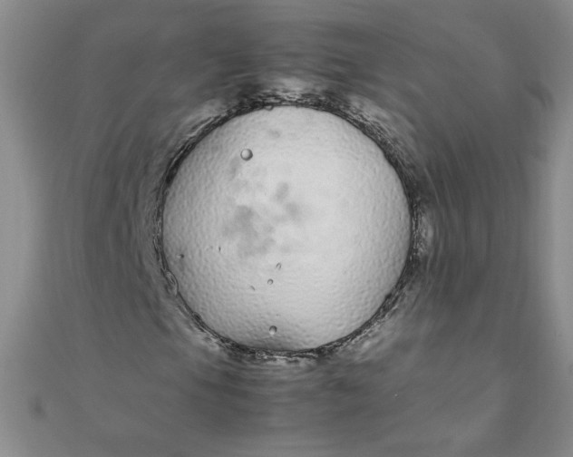 X0000108481105200904171605