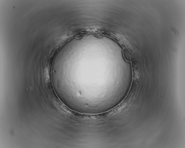 X0000108481106200904171605