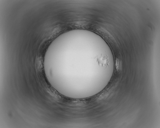 X0000108481107200904171605