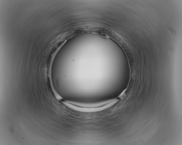 X0000108481108200904171605