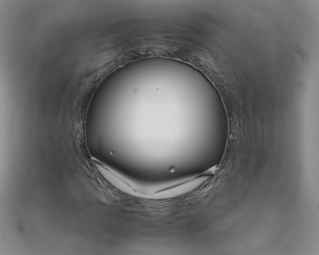 X0000108481109200904171605