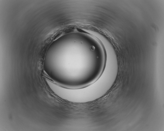 X0000108481110200904171605
