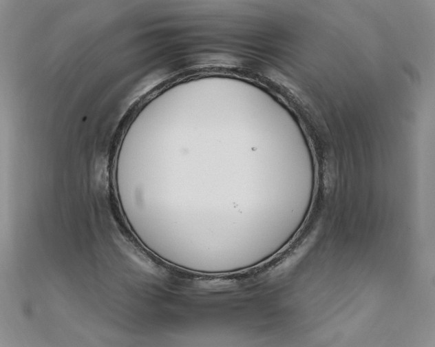 X0000108481113200904171605
