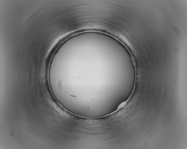 X0000108481116200904171605