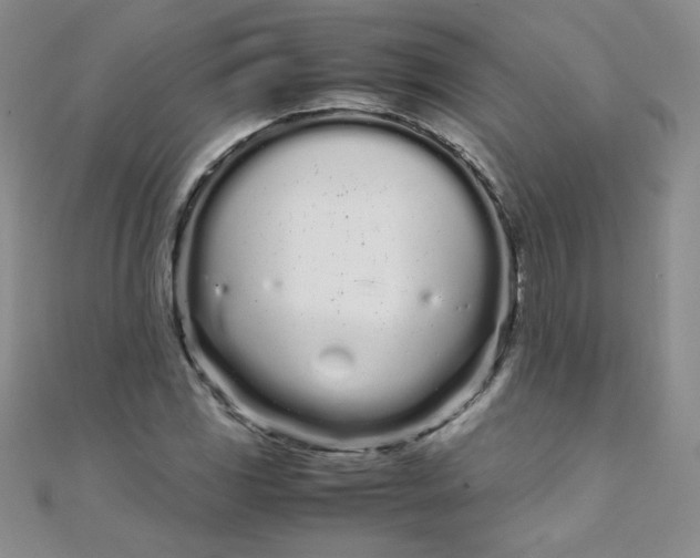 X0000108481117200904171605