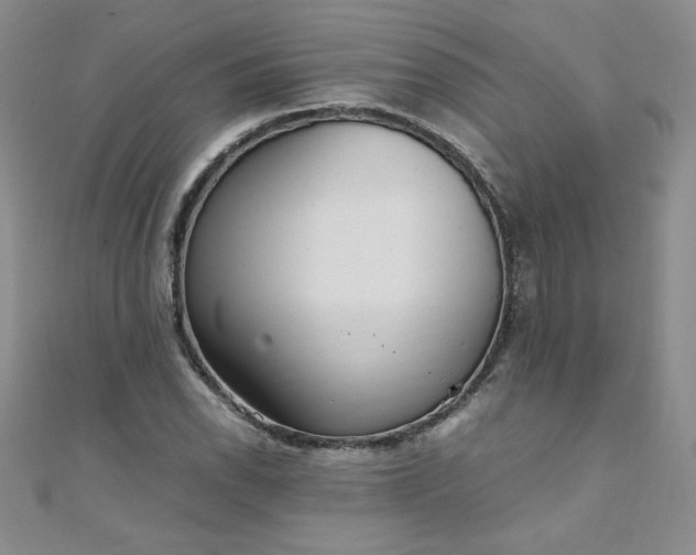 X0000108481118200904171605