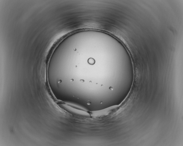 X0000108481123200904171605