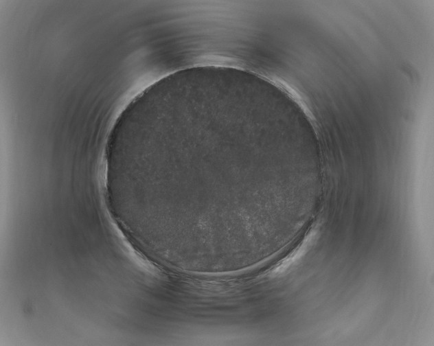 X0000108481125200904171605