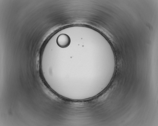 X0000108481126200904171605