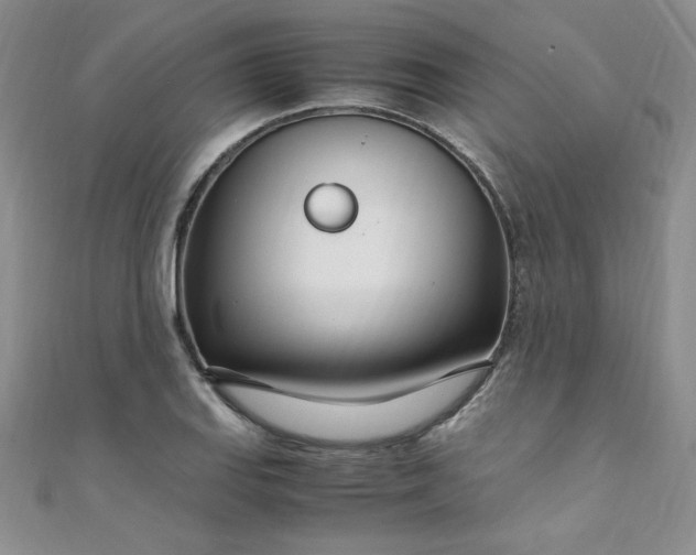 X0000108481127200904171605