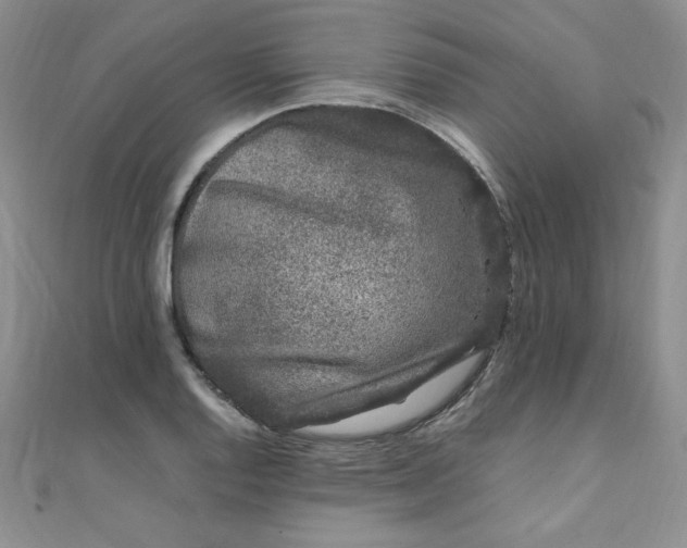 X0000108481128200904171605