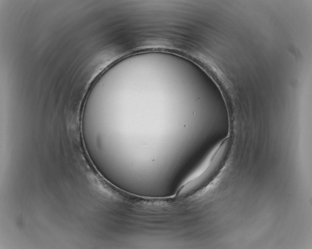 X0000108481129200904171605