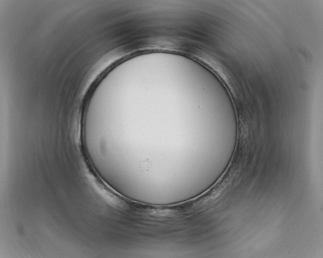 X0000108481131200904171605