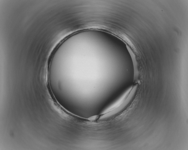 X0000108481132200904171605