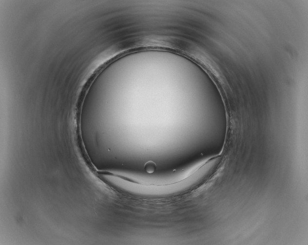 X0000108481133200904171605
