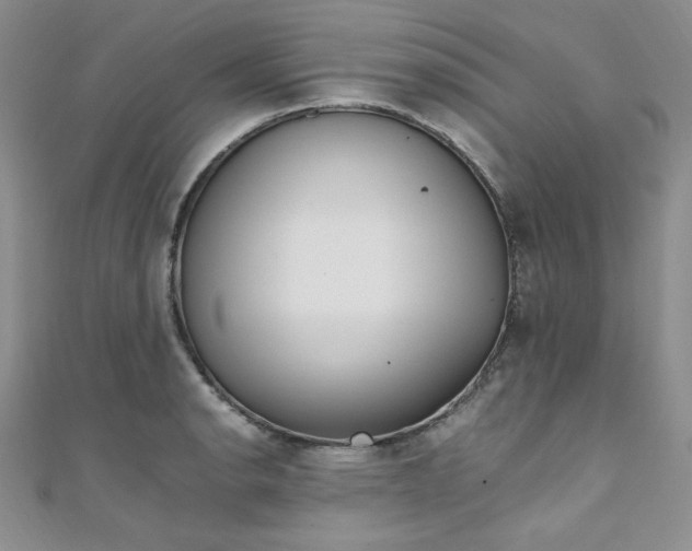 X0000108481134200904171605