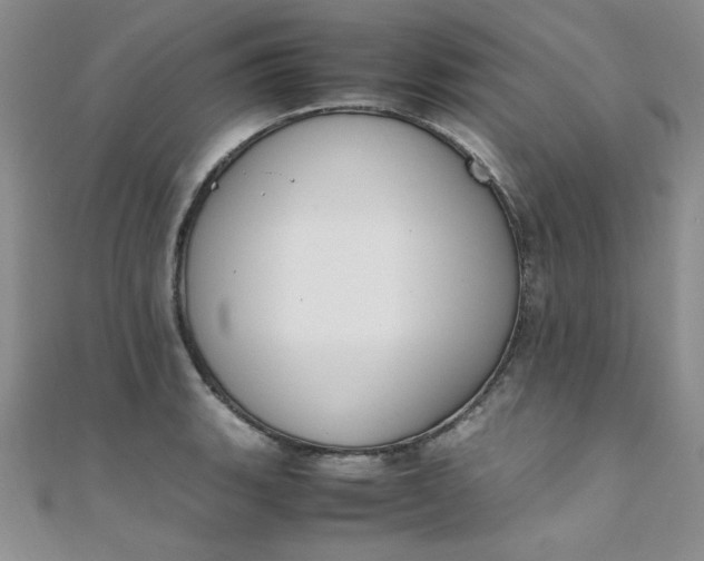 X0000108481135200904171605