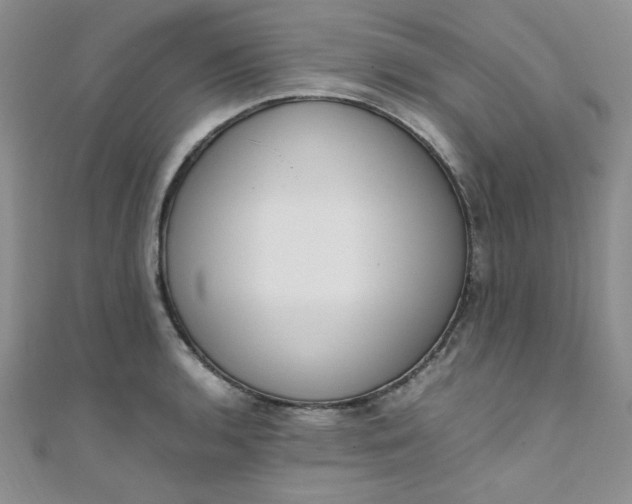 X0000108481136200904171605