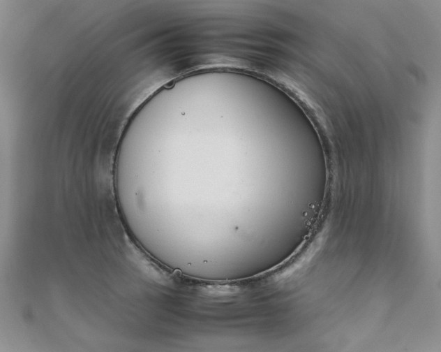 X0000108481137200904171605