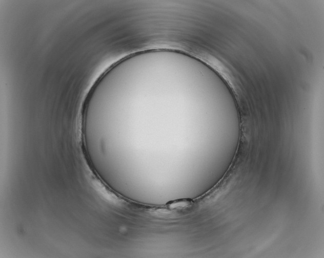 X0000108481140200904171605