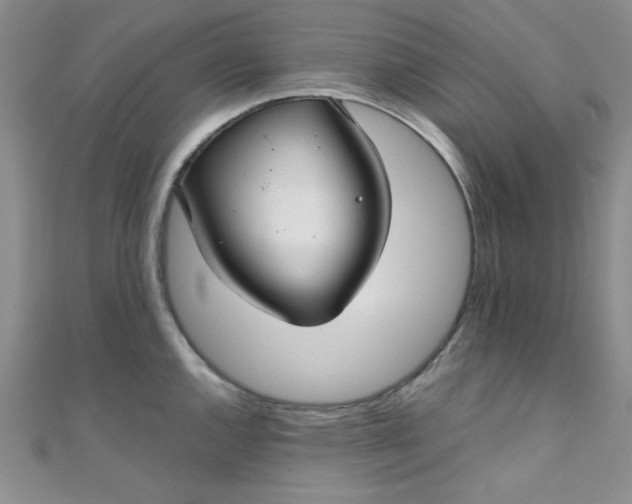 X0000108481144200904171605