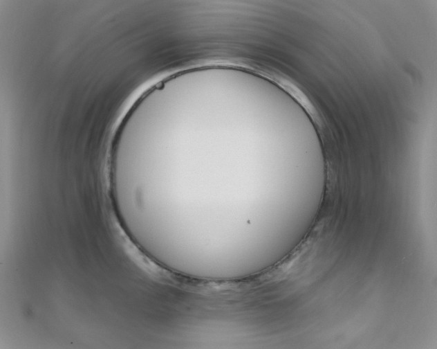 X0000108481148200904171605