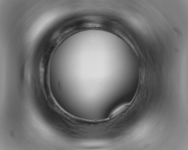 X0000108481151200904171605