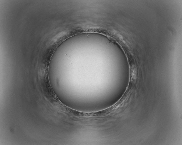 X0000108481157200904171605