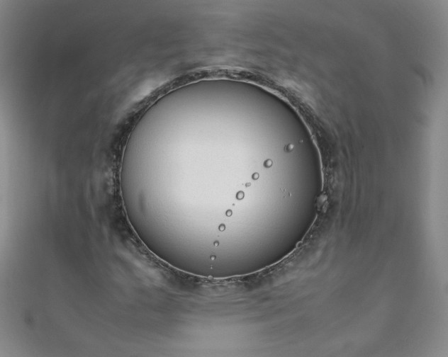 X0000108481159200904171604