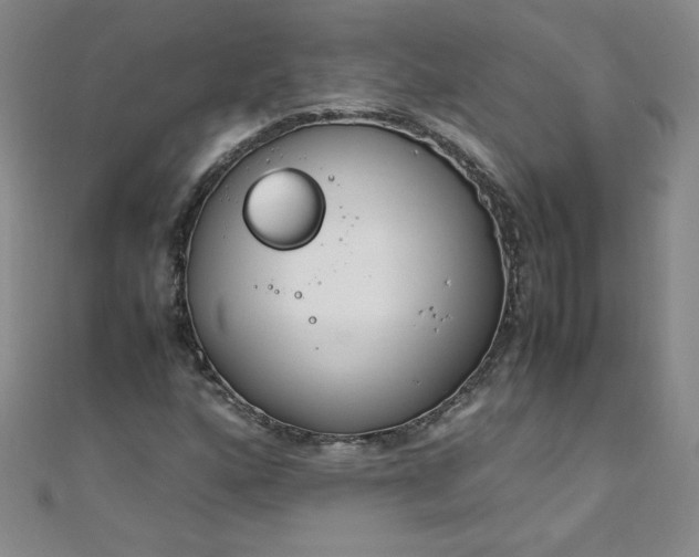 X0000108481160200904171604