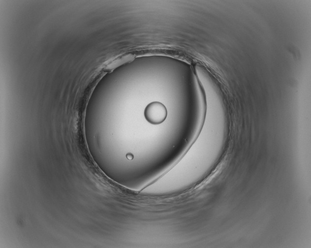 X0000108481161200904171604