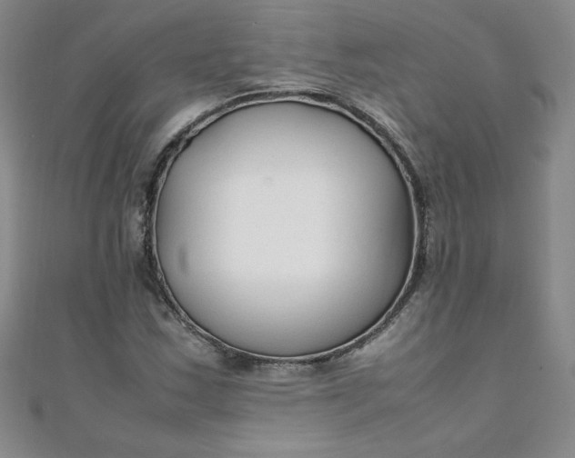 X0000108481163200904171604