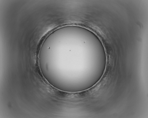 X0000108481165200904171604