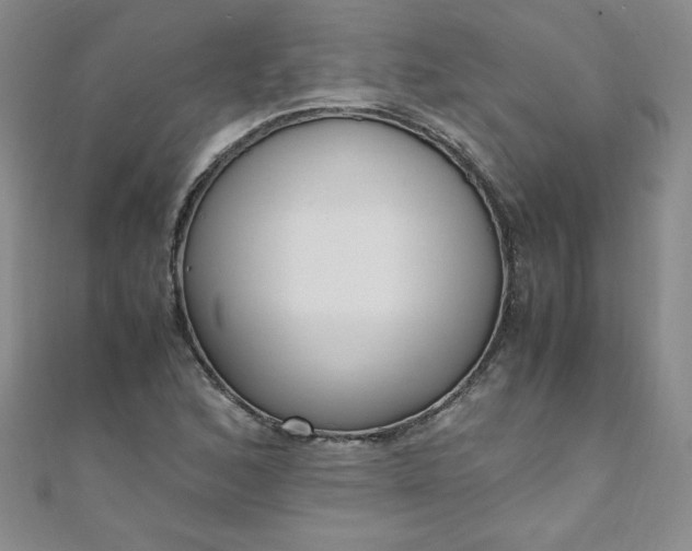 X0000108481168200904171604