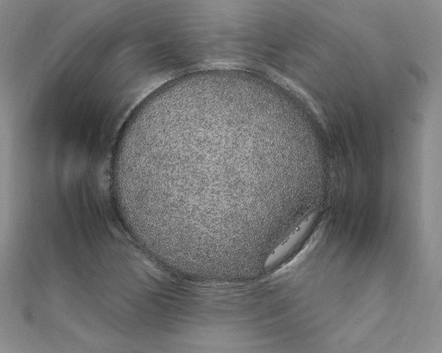 X0000108481170200904171604