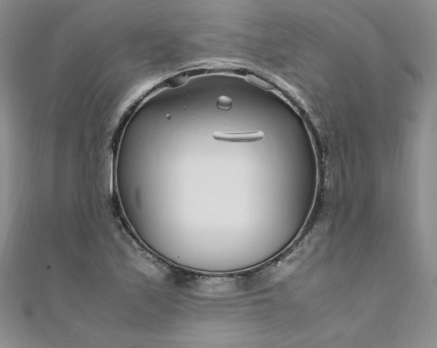 X0000108481171200904171604