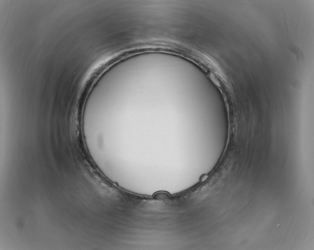 X0000108481172200904171604