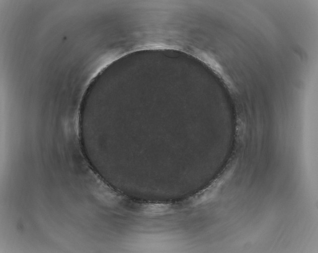 X0000108481173200904171604