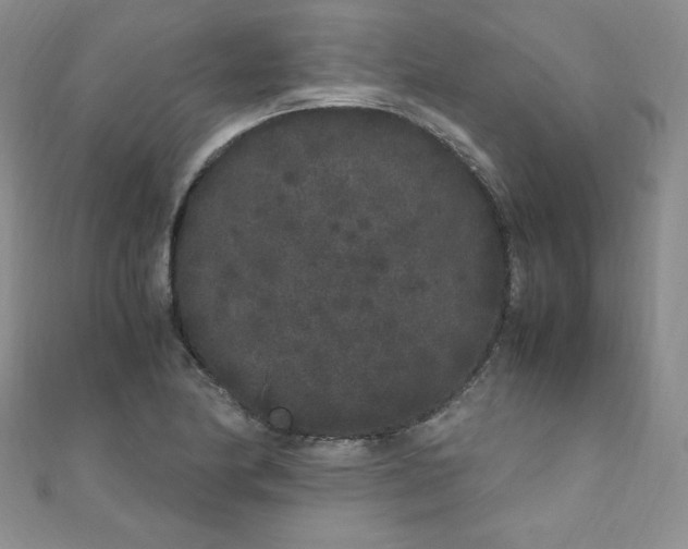 X0000108481174200904171604