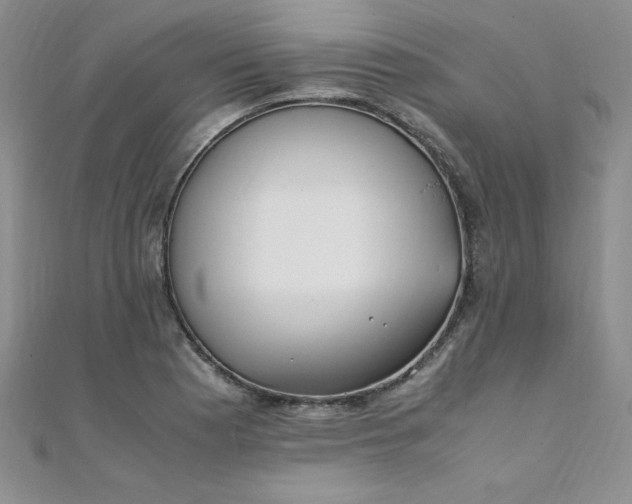 X0000108481177200904171604