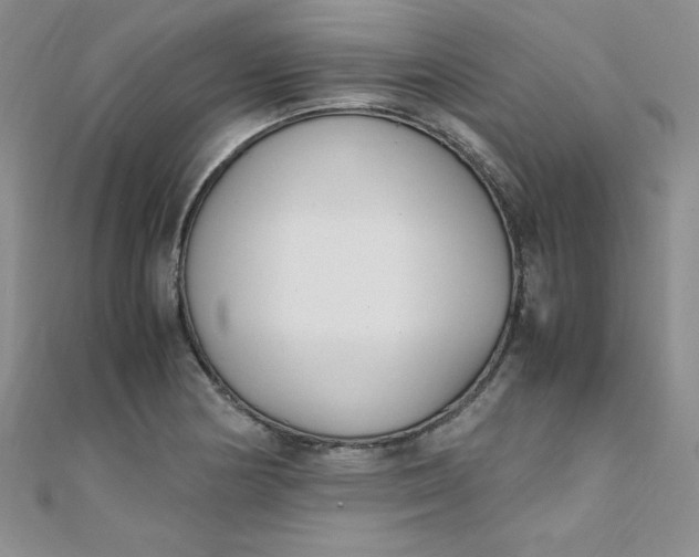 X0000108481178200904171604