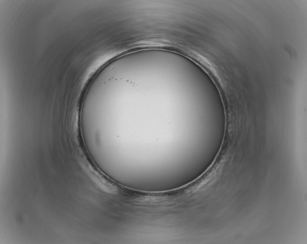 X0000108481179200904171604