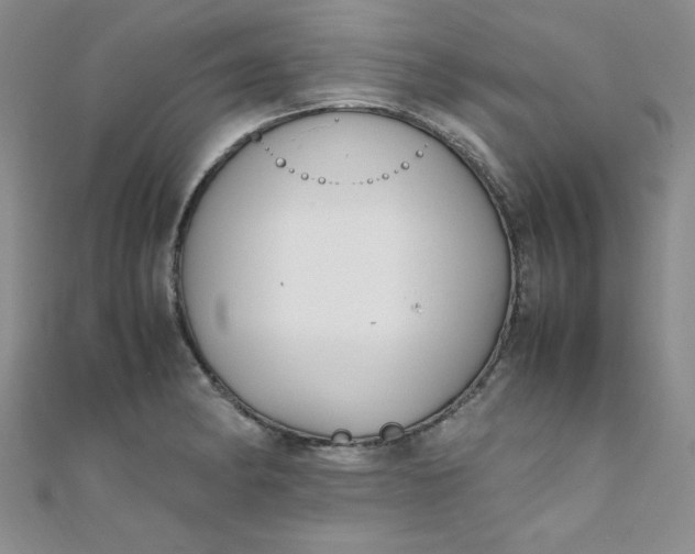 X0000108481182200904171604