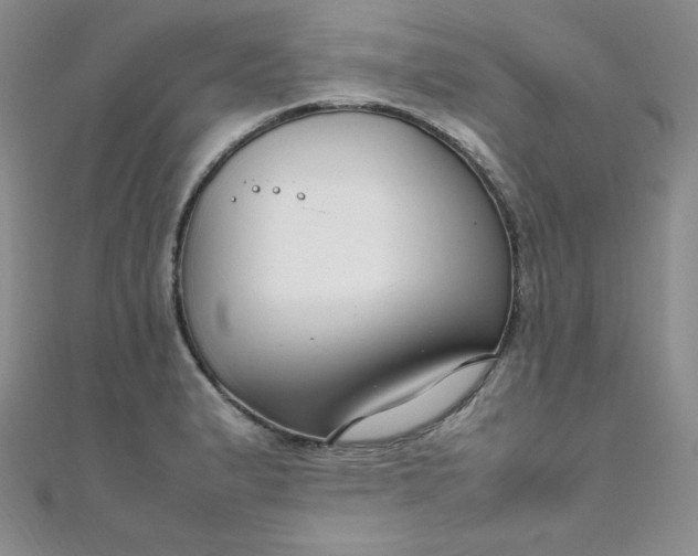 X0000108481183200904171604