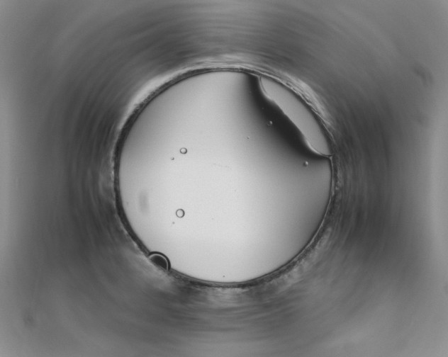 X0000108481184200904171604