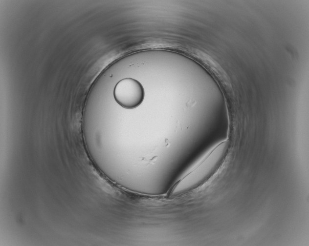 X0000108481185200904171604