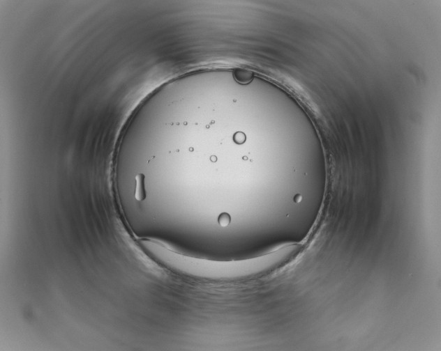 X0000108481186200904171604