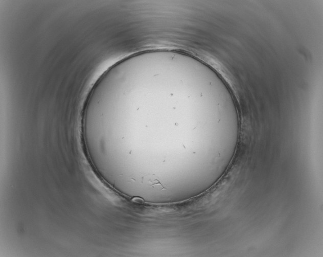 X0000108481187200904171604