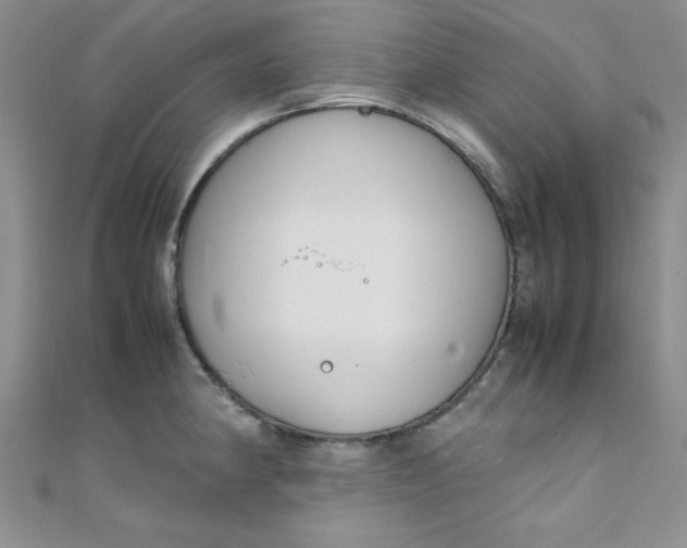 X0000108481190200904171604