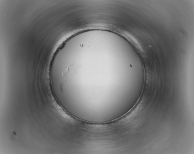 X0000108481192200904171604